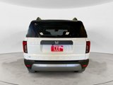New 2026 Honda Passport RTL image 4
