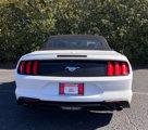 Used 2021 Ford Mustang Premium image 6