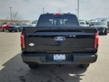 Certified 2024 Ford F150 King Ranch image 4