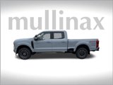 New 2025 Ford F250 Platinum image 2