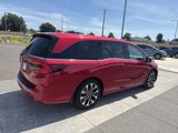New 2026 Honda Odyssey Elite image 6
