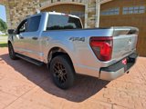 New 2025 Ford F150 STX w/ STX Black Appearance Package image 5