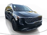 New 2025 Kia Carnival SX Prestige image 4