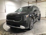 New 2025 Kia Carnival EX image 3