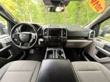 Used 2019 Ford F150 XLT w/ Equipment Group 302A Luxury image 2
