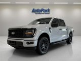 New 2025 Ford F150 STX w/ STX Black Appearance Package image 3