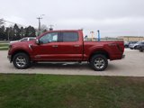 New 2025 Ford F150 XLT image 4