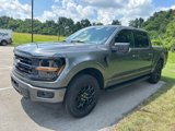 New 2025 Ford F150 XLT image 2