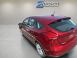Used 2014 Ford Focus SE w/ SE Sport Package image 5