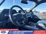 New 2025 Ford F150 XLT w/ Equipment Group 302A MID image 2
