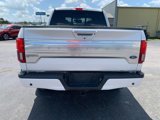Used 2019 Ford F150 Platinum w/ Equipment Group 701A Luxury image 3