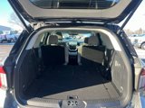 New 2025 Ford Explorer Active w/ Active Comfort Package image 6