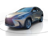 New 2025 Lexus NX 350 AWD w/ Premium Package image 2
