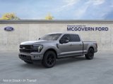 New 2025 Ford F150 Platinum image 2