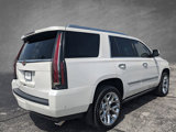 Used 2019 Cadillac Escalade Platinum image 4