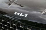 New 2026 Kia Carnival SX image 6