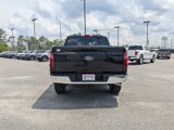 New 2025 Ford F150 XLT w/ Equipment Group 302A MID image 5