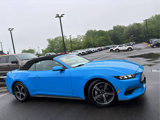 Certified 2024 Ford Mustang Premium image 4