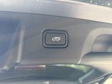 New 2025 Hyundai Palisade XRT image 6