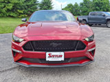 Used 2022 Ford Mustang GT w/ Equipment Group 301A image 4