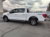 Certified 2023 Ford F150 XLT w/ Equipment Group 302A High image 3