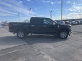 New 2024 Ford F150 XLT w/ Equipment Group 302A MID image 6