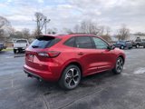 New 2025 Ford Escape ST-Line Elite w/ Premium Technology Package image 5