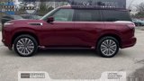 Certified 2025 INFINITI QX80 Sensory image 5