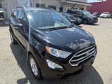 Used 2020 Ford EcoSport SE w/ SE Convenience Package image 6