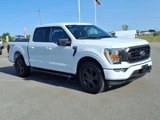 Used 2023 Ford F150 XLT w/ Equipment Group 302A High image 3