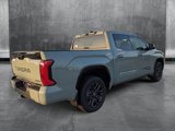 New 2025 Toyota Tundra Platinum image 2