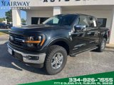 Used 2024 Ford F150 XLT w/ Equipment Group 302A MID image 2