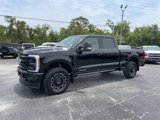 New 2025 Ford F250 Platinum image 2