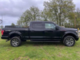 Used 2017 Ford F150 XLT w/ Equipment Group 302A Luxury image 6