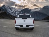 New 2025 Ford F150 STX w/ STX Black Appearance Package image 5