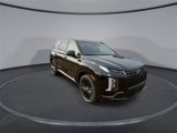 New 2025 Hyundai Palisade Calligraphy image 2