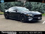 Used 2021 Ford Mustang GT Premium w/ Equipment Group 401A image 2