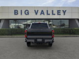 New 2025 Ford F250 Platinum image 5