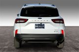 New 2025 Ford Escape ST-Line w/ Tech Pack #1 image 4