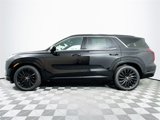 New 2025 Hyundai Palisade Calligraphy image 2
