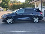 Used 2021 Ford Escape SE image 4