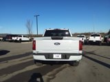 New 2025 Ford F150 STX w/ Equipment Group 200A image 4