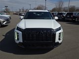New 2025 Hyundai Palisade Calligraphy image 3