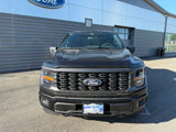New 2025 Ford F150 STX image 3