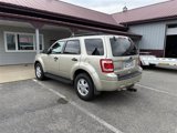 Used 2011 Ford Escape XLT image 4