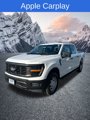 New 2025 Ford F150 XL image 4