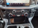 New 2025 Ford F150 XLT w/ Equipment Group 302A MID image 4