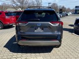 Used 2024 Toyota RAV4 XSE image 6