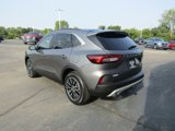 Used 2024 Ford Escape SE w/ PHEV Premium Package image 6