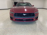 New 2025 Ford Mustang Coupe image 3